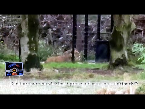 Decibel Outdoor naast safaripark Beekse Bergen??