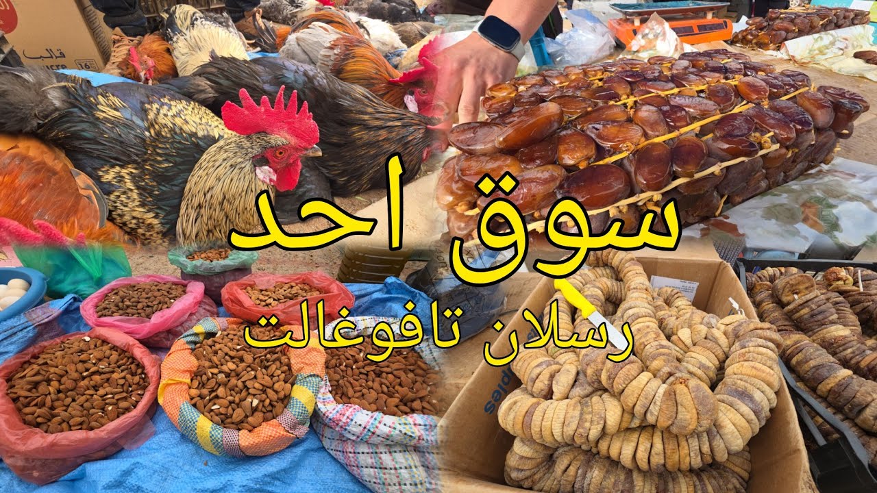 سوق رسلان تافوغالت اقليم بركان