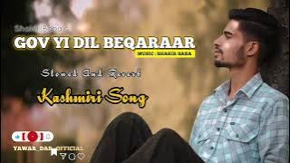 GOV YI DIL BEQARAAR | SHAKIR BABA | SLOWED AND REVERB | NEW KASHMIRI BROKEN SONG 2025