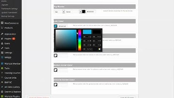 How to Change Link Color in Woo Canvas Theme for Wordpress