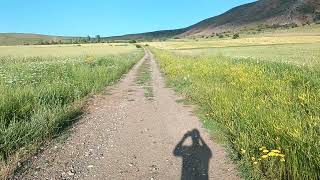 Erzincan Tercan Yukarı Zağgeri Köyü Resimi