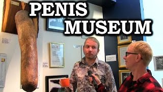 Joe Goes To The Penis Museum In Iceland