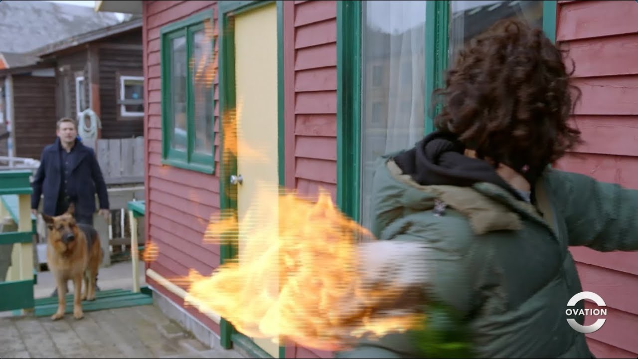 Hudson & Rex | Explosion | Season 2 - YouTube