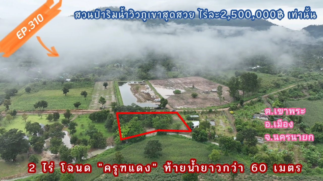 EP.310 สวนป่าวิวภูเขาริมลำธาร ต.เขาพระ นครนายก ประปา-ไฟฟ้า พร้อมไร่ละ 2.5ลบ. โฉนด