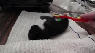 VID 20250726 200951443