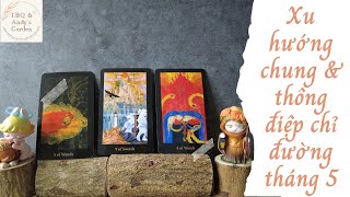 Xu hướng chung \& thông điệp chỉ đường tháng 5 {Tarot tháng 5) | Chọn 1 tụ bài | Xem Tarot