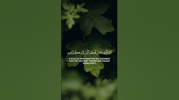 {وَقَالَ رَبُّكُمُ ادْعُونِي أَسْتَجِبْ لَكُمْ} سورة غافر الآية | 60 #quran #اكسبلور #المصحف #muslim