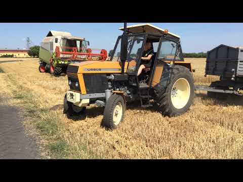 Wyciąganie pełnej przyczepy pszenicy z pola ! Ursus 1012 na blokadzie! ENGINE SOUND!