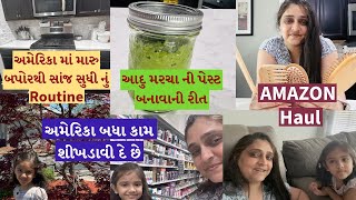 અમેરિકા બધા કામ શીખડાવી દે છે | આદુ મરચા ની પેસ્ટ બનાવાની રીત | બપોરથી સાંજ સુધી નું Routine