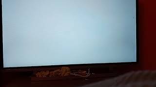 No Damage With Spark Vs Don & Silvox