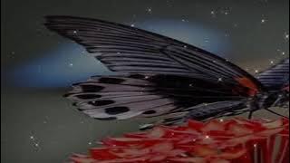 99397242