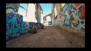 Tiny Trainer/Insta360 Go/Bando