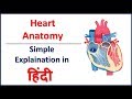 Anatomy (Structure) of Heart in Hindi | Bhushan Science