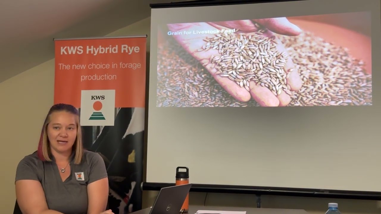 Hybrid Fall Rye for Pigs and Chickens