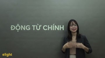 Ngữ Pháp TOEIC 550+: Lesson 5 Main Verbs ( Động từ chính)