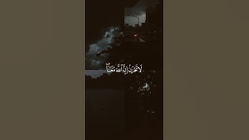 لا تحزن إن الله معنا.🥺☁️.القارئ عبدالرحمن مسعد. القرآن الكريم.💚🕋🕌
