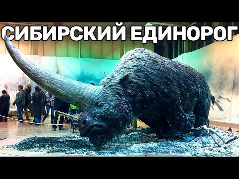 10 Вымерших Животных, Которых Воскресят в Скором Времени