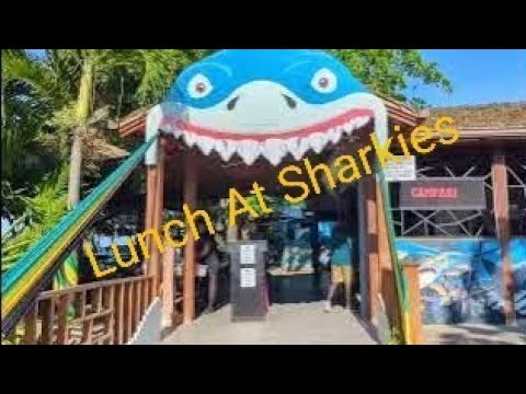 sharktie