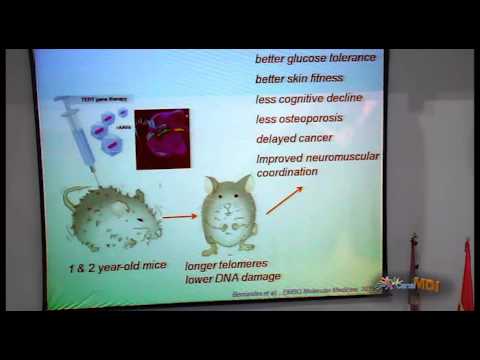 Vídeo: Los Resultados De La Investigación Del ADN De Los Tejidos De 