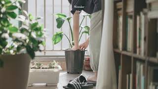 𝐏𝐥𝐚𝐲𝐥𝐢𝐬𝐭 날도 좋은데 미뤘던 방 청소나 해볼까 cleaning room music 🌿 by 파란하늘 Blue Sky 2,217 views 1 month ago 59 minutes