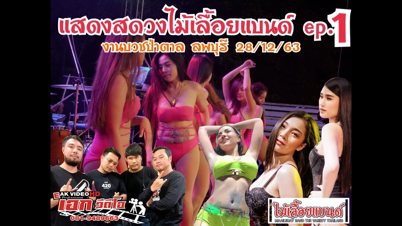 แสดงสดวงไม้เลื้อยแบนด์ งานบวชป่าตาล ลพบุรี ep.1