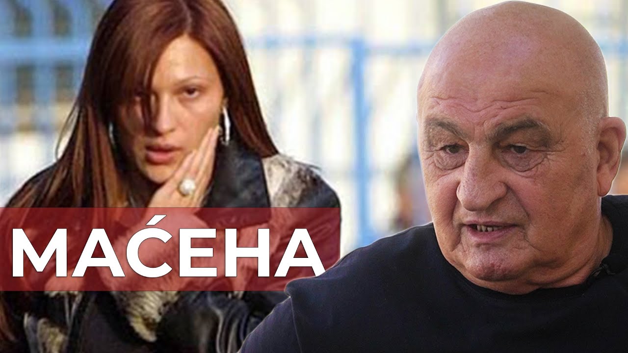 MIHAJLO ULEMEK O CECI RAŽNATOVIĆ I TUŽBI