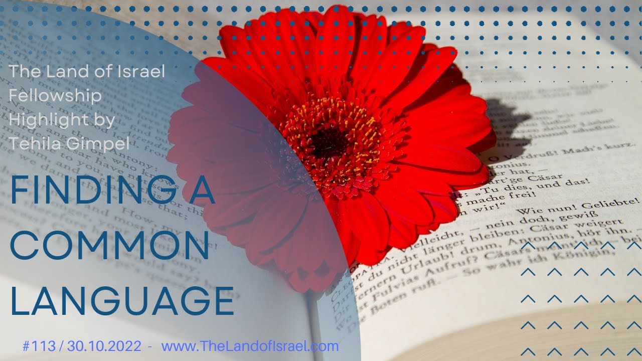 Finding Common Language - Tehila Gimpel: The Land of Israel Fellowship