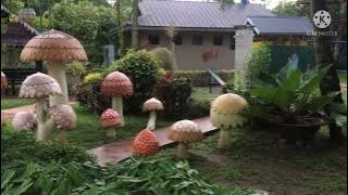 Wild Flower Instrumental Piano. Cover Elmer Mon