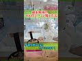 【クレーンゲーム】確率無視して100円で３つ獲る方法！【 ufoキャッチャー 攻略 確率機 clawmachine 】