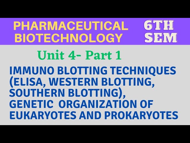Immunoblotting techniques | ELISA | Western blotting | Southern blotting | Genetic organization