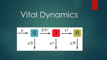 To What Extent Can An Epidemic Be Mathematically Modelled Part 3