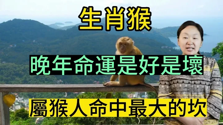 【生肖猴】属猴人晚年命运是啊好是坏？生肖猴财运怎么样？属猴人命中最大的坎又是什么？本期视频讲述生肖猴运程运势！#2023 #运势 #生肖 #生肖运势 #生肖财运 #生肖猴 #爱华 - 天天要闻