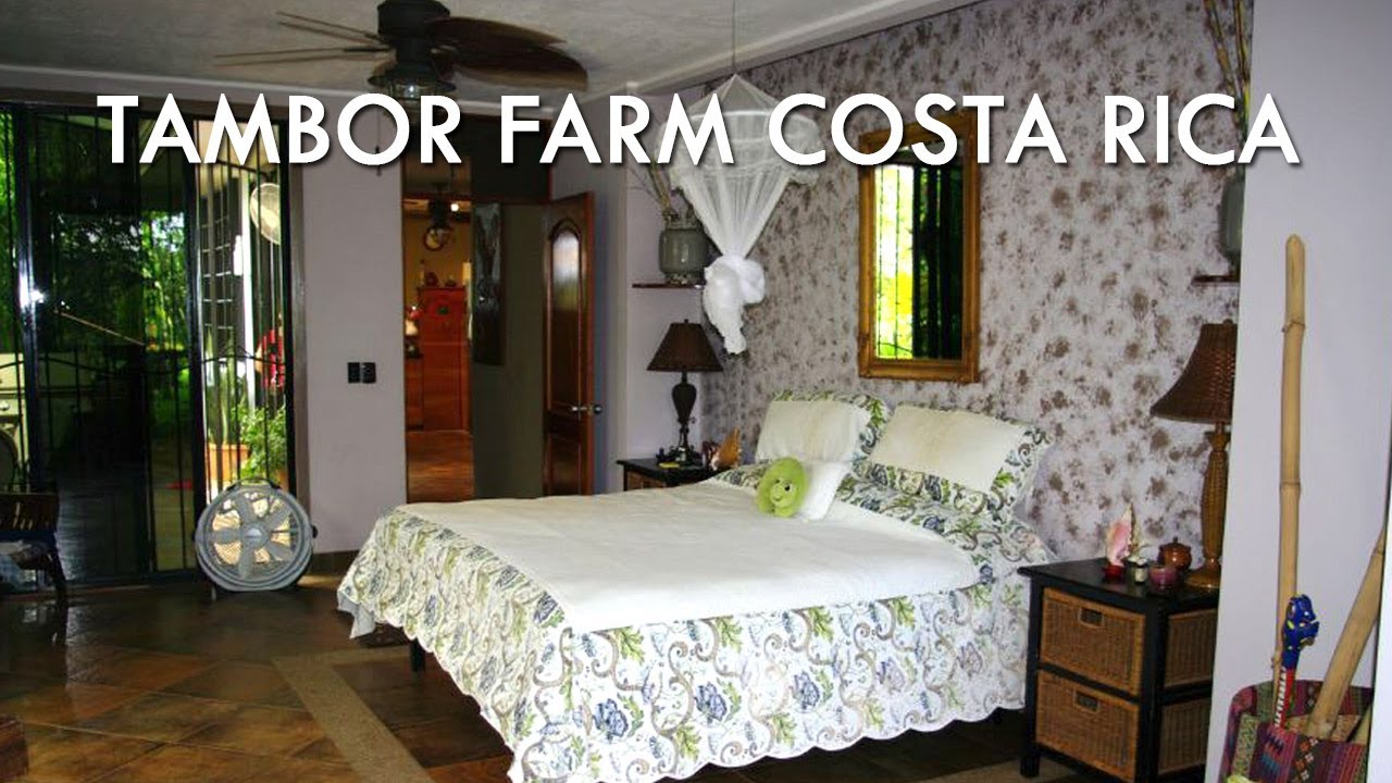Tambor Farm Costa Rica Main house YouTube