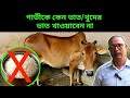 গাভীকে কেন ভাত/খুদের ভাত খাওয়াবেন না। গাভী পালন। গাভী পালন প্রশিক্ষণ। যুব কথা - রায়হান দেওয়ান