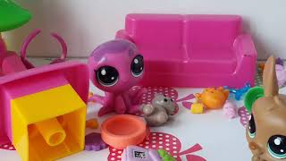 Minişler Evde Yalnız