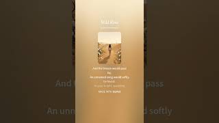 Wild Rose #poem #music #자작시 #노래 #감성 #kpop 