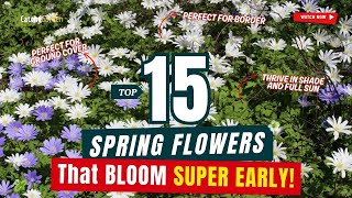 TOP 15 SPRING FLOWERS That BLOOM SUPER EARLY! 🌻🌸🌼 // Gardening Ideas