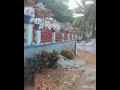 full gulo ki sundor🌹🌹🌷🌷💐💐🥀🥀🌻🌻🌼🌼🌸🌸#vairal #trendingvideo #instagramyoutube #shortsads