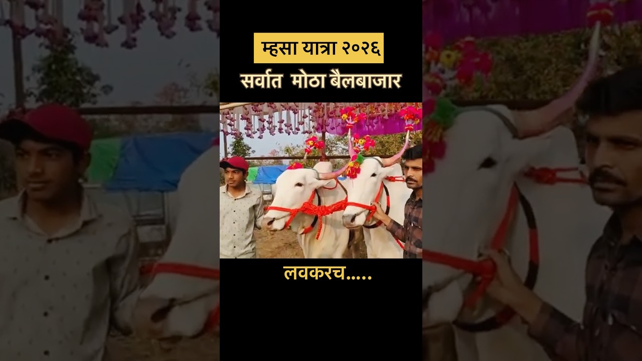 Coming Soon 2026 | Mhasa yatra 2026 | Jatra 