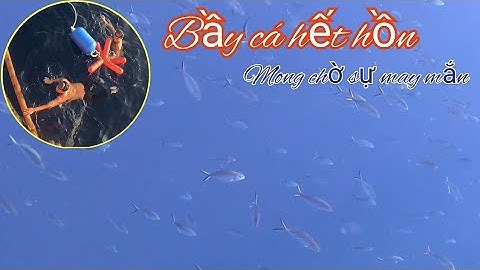 Dưới gốc chà bầy cá khủng mà chưa mê ánh đèn | Đánh cá 2024 - Tập 26 | Sóng biển Hứa Đông