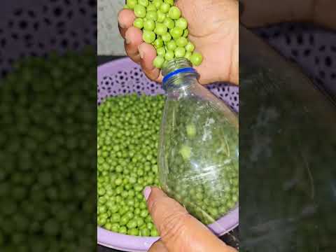 हरे मटर को बिल्कुल नए और अनोखे तरीके से एक साल स्टोर करें | How To Store Green Peas Freeze & Freezer