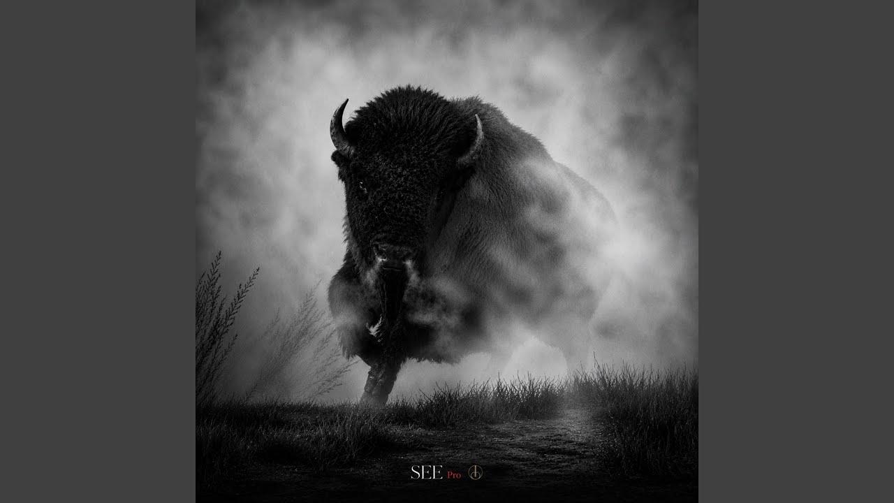 Mira Buffalo en YouTube Mira Buffalo en YouTube