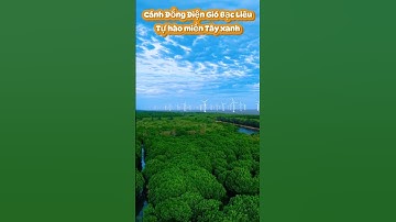 Cánh Đồng Điện Gió Bạc Liêu – tự hào miền Tây xanh. #mekongdelta