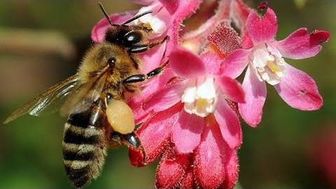 طرق إبداعية  لتثبيت حفظ سورة  النحل بالروابط  . 80 ــ 83. حصة 30