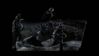 Meme Family Shorts Jacks At Soup