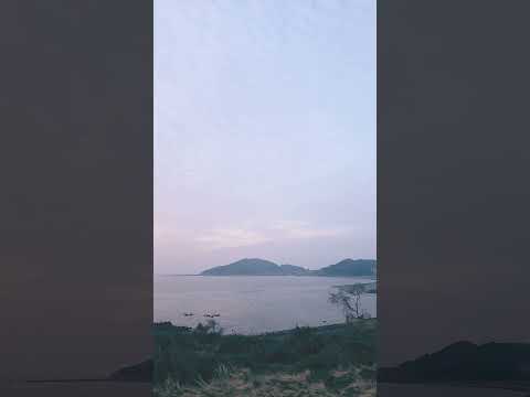 2026년 3월 24일