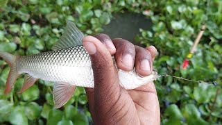amazing fishing technique with hook