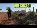 NUNCA ENTRE NA FRENTE DE UM BOI NELORE [trilha do vale - MTB]