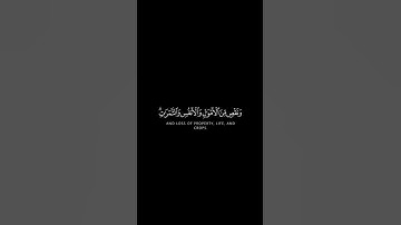 ولنبلونكم بشيء من الخوف والجوع || كرومات شاشة سوداء || القارئ فارس عباد