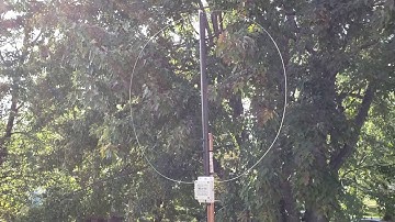 First hour battle of the antennas W6LVP loop VS MLA 30 loop test